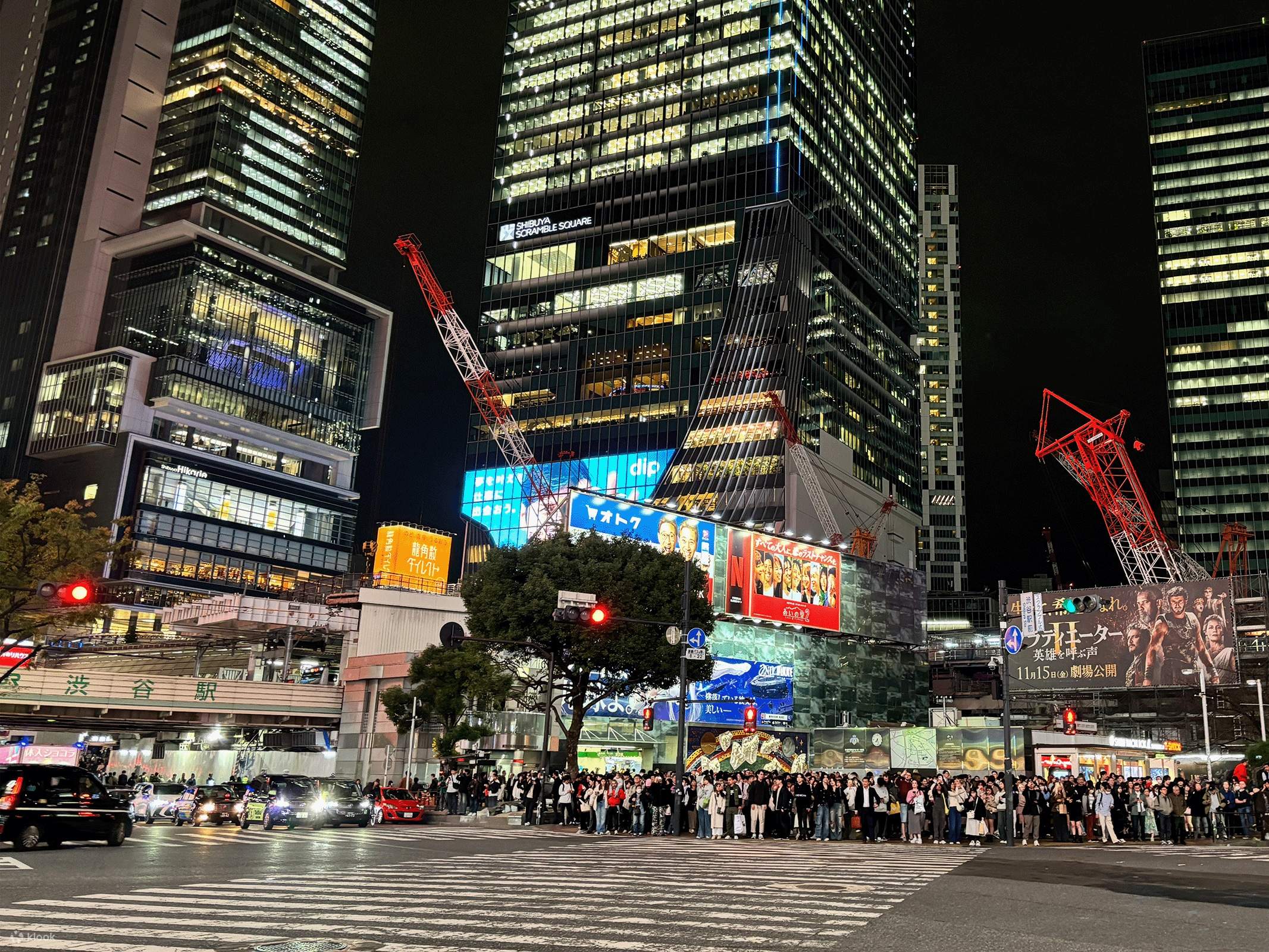 東京：渋谷の夜の散歩ツアーと